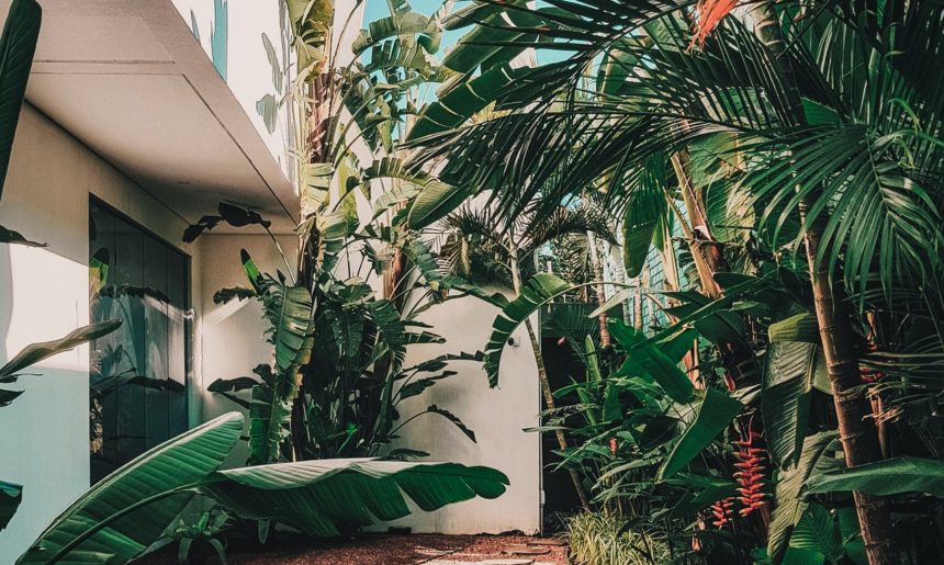 Cómo crear el jardín perfecto (II)