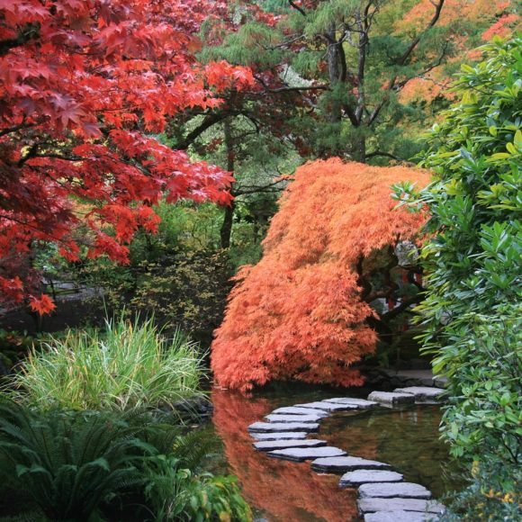 Cómo crear un jardín japonés