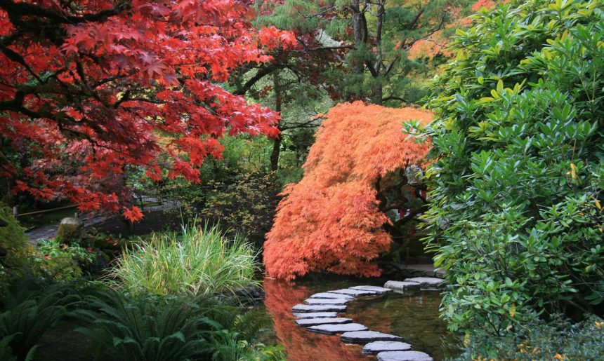 Cómo crear un jardín japonés
