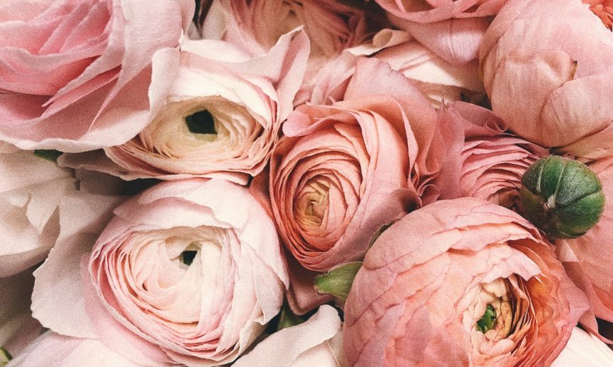 ¿Sabes cuál es la flor más bonita del mundo?