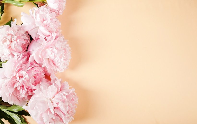 Top 5: las flores más bonitas