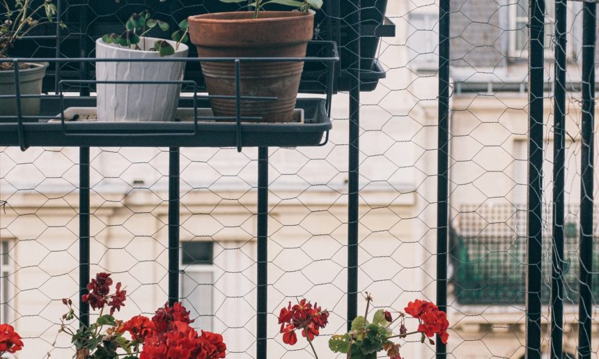 Top 5: plantas para balcón