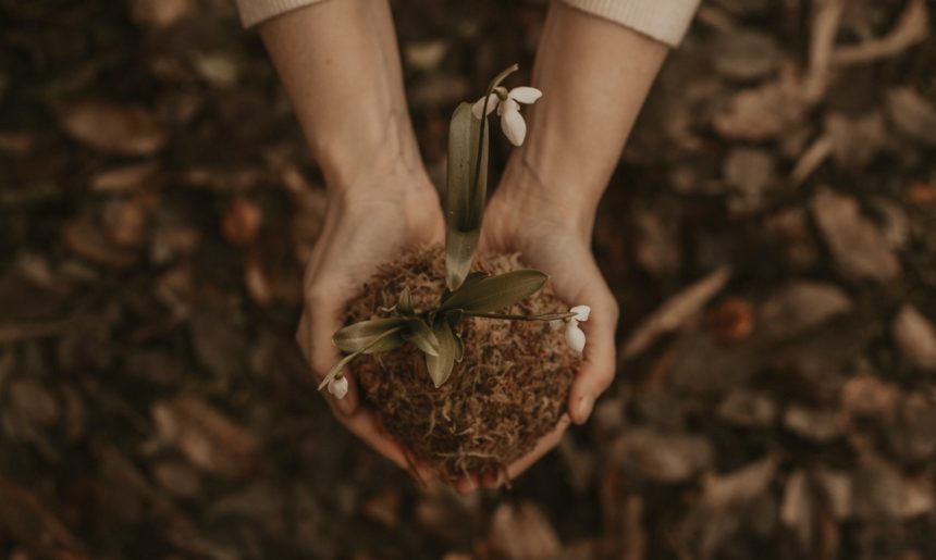 Los mejores libros sobre jardinería
