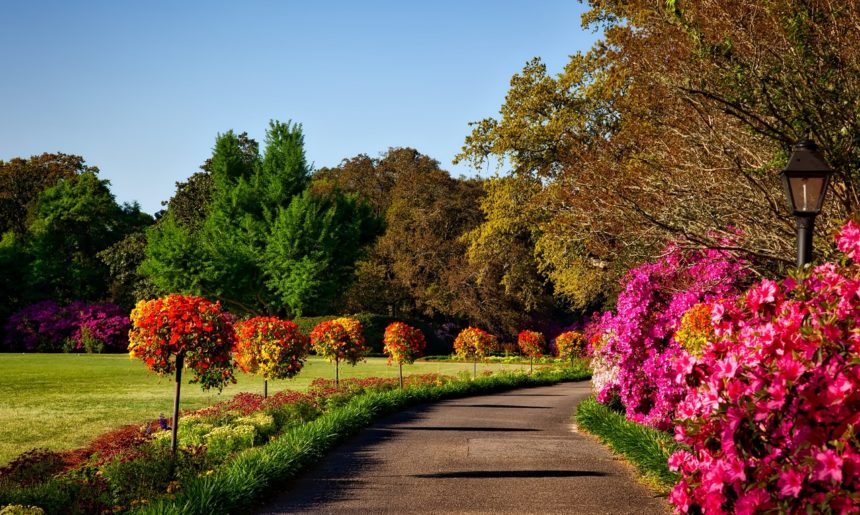 Beneficios de tener un jardín en casa (II)