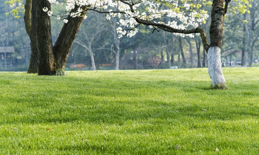 Cuidados del jardín en ABRIL