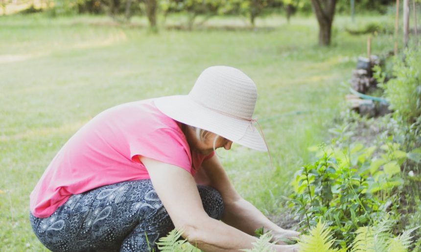 ¿Por qué la Jardinería puede ser tu mejor amiga?