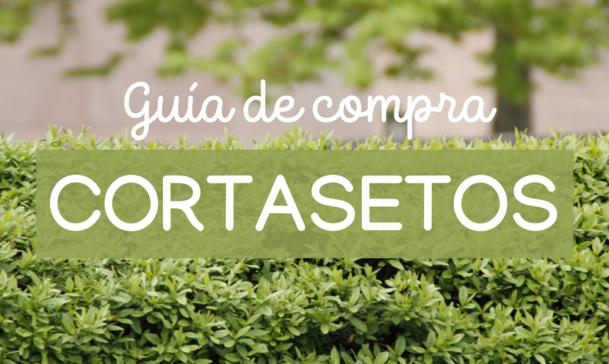 Guía de compra DEFINITIVA de un CORTASETOS