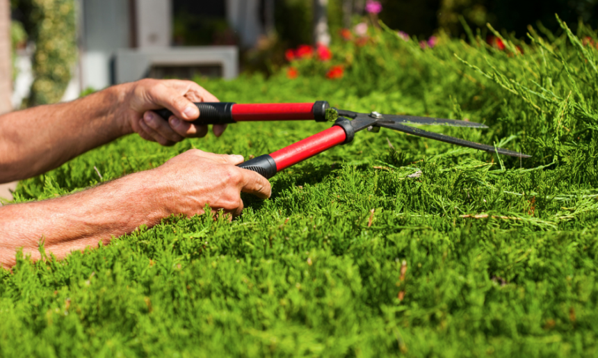 Trabajos de jardinería imprescindibles en otoño (II)