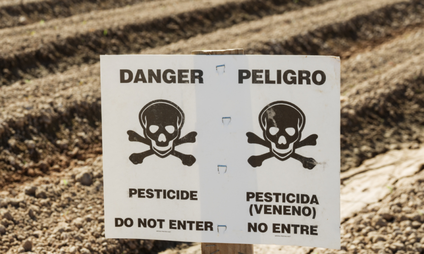 ¿Es malo usar plaguicidas?