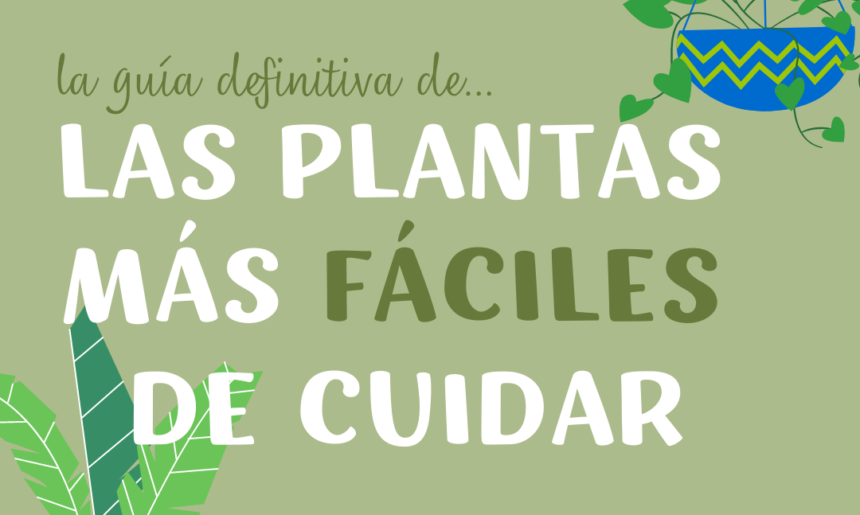 La GUÍA definitiva de las plantas más fáciles de cuidar