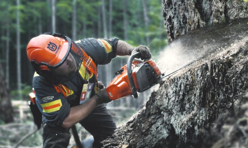 Motosierras Husqvarna, precisión y seguridad