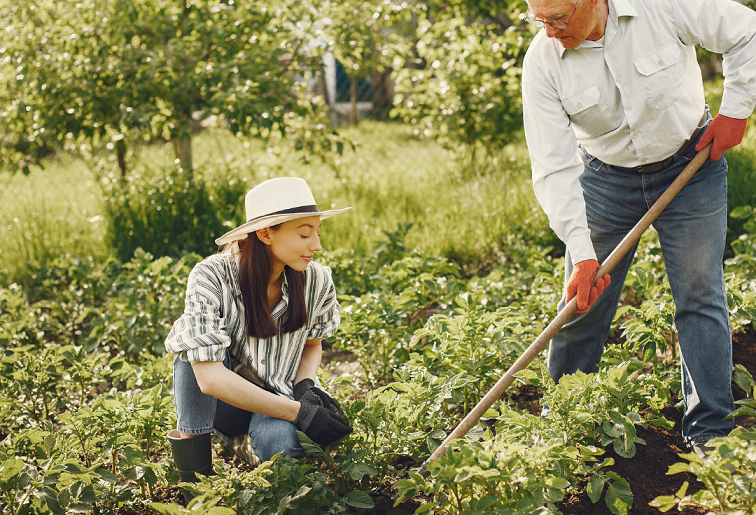 Beneficios de la Jardinería en diversidad funcional (II)