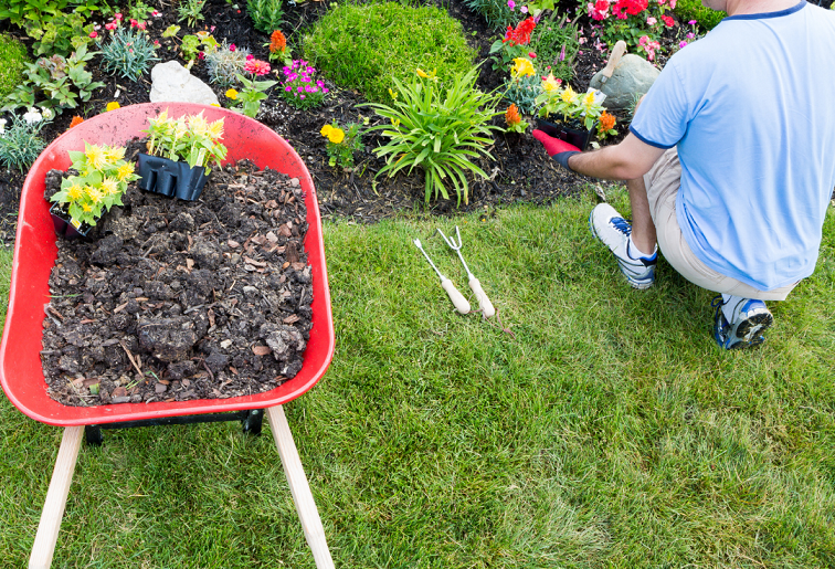 Beneficios de la jardinería para tu mente (I)