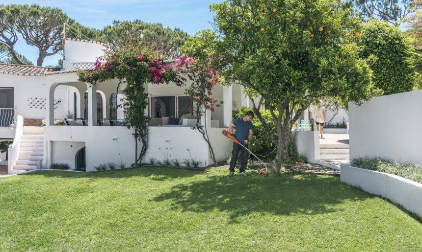 Cómo conseguir más sombra en tu jardín (I)