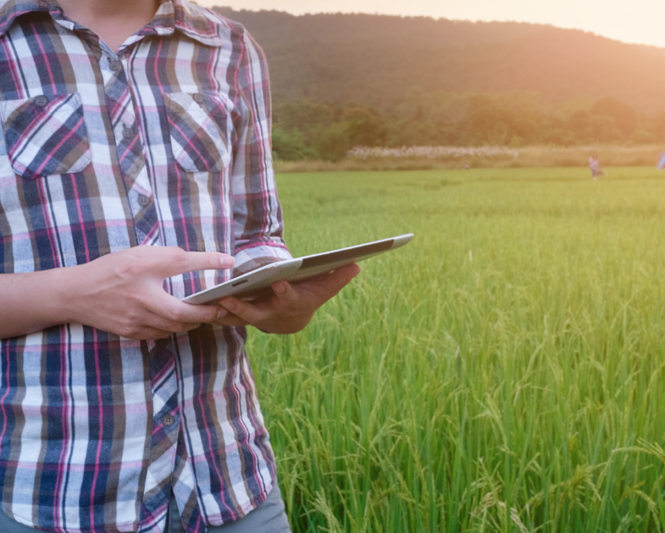Agro millennials: una generación fundamental en la nueva agricultura