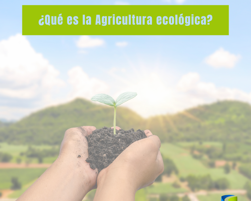 ¿Qué es la agricultura ecológica?