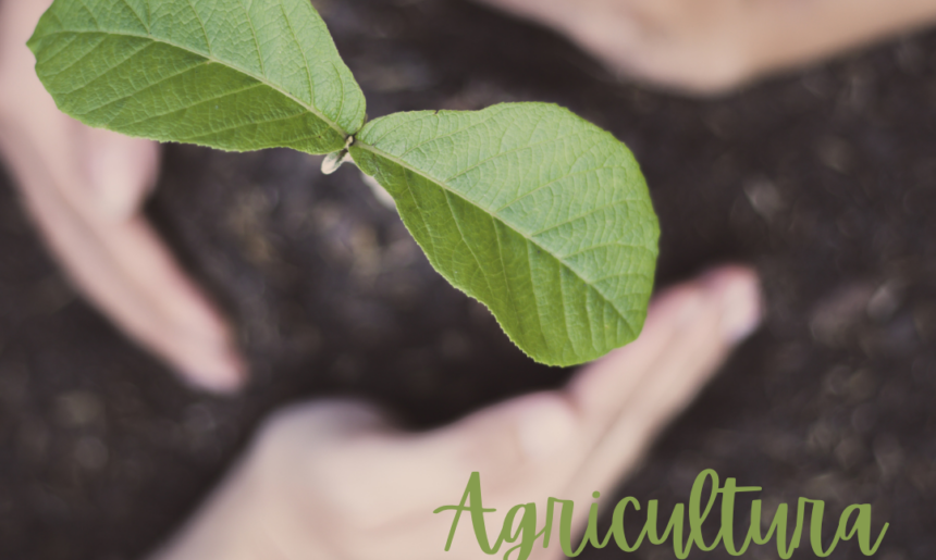 ¿Qué es la agricultura sostenible?