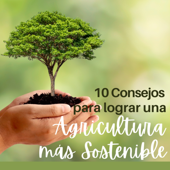 10 consejos para conseguir una agricultura sostenible