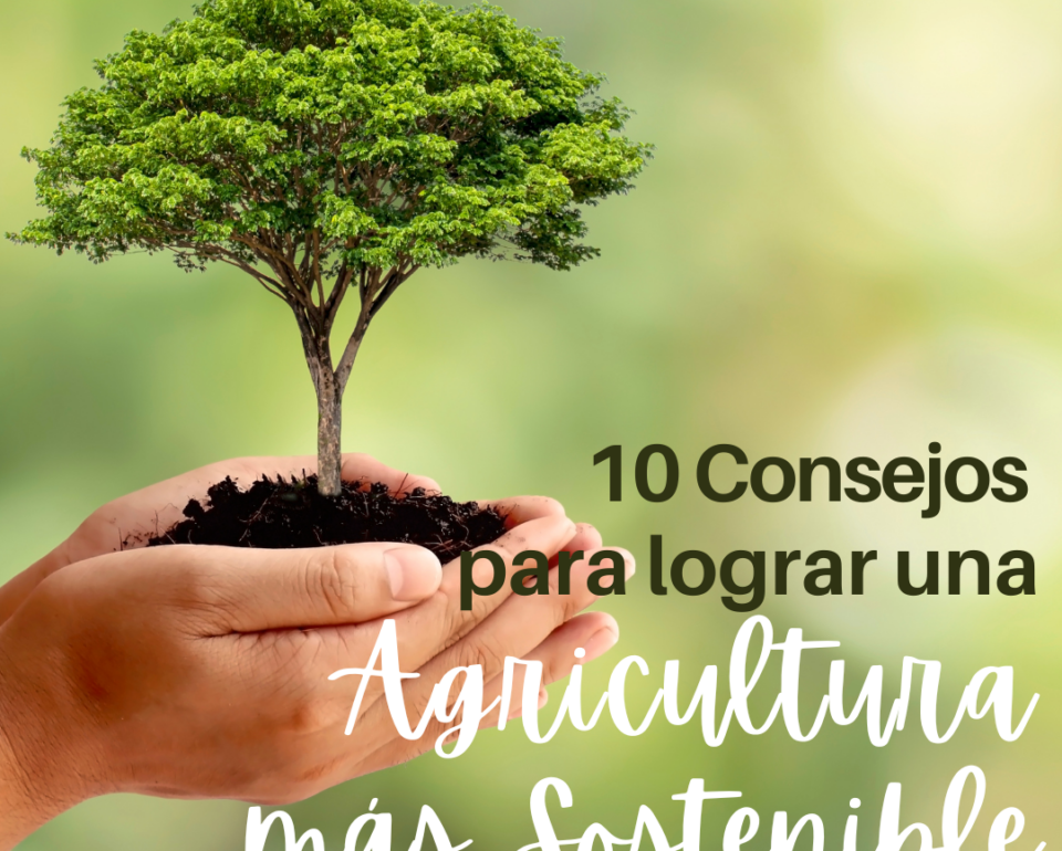 10 consejos para conseguir una agricultura sostenible